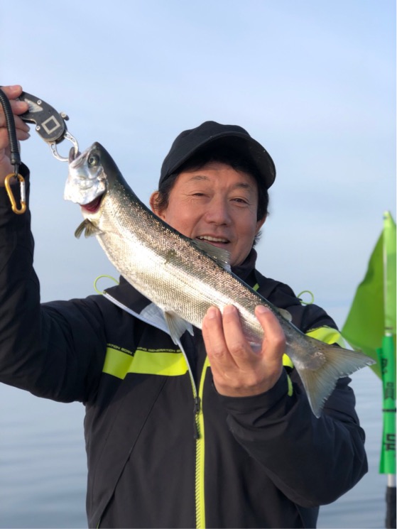 琵琶湖│プレジャーボートでビワマス釣果