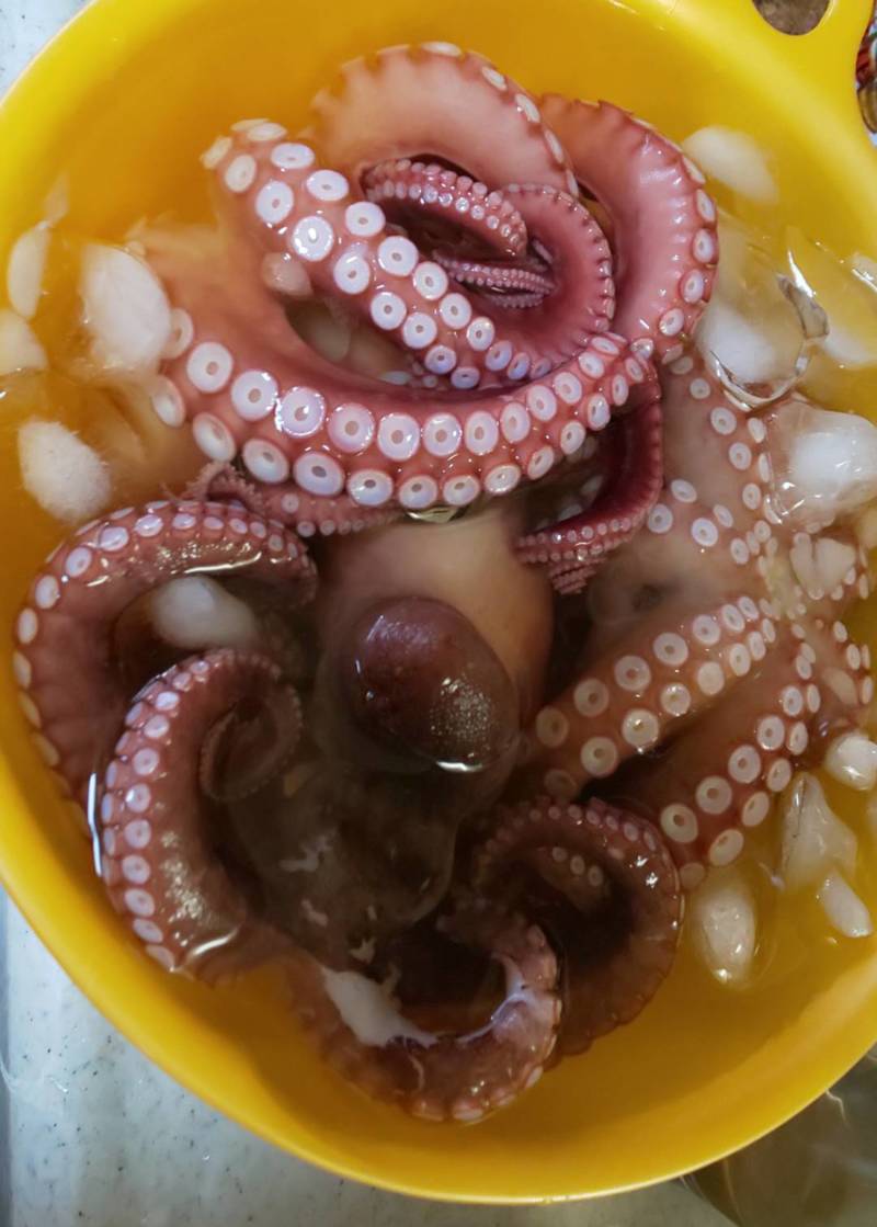 今シーズン初タコ