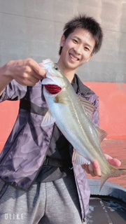 大阪湾ボートシーバス