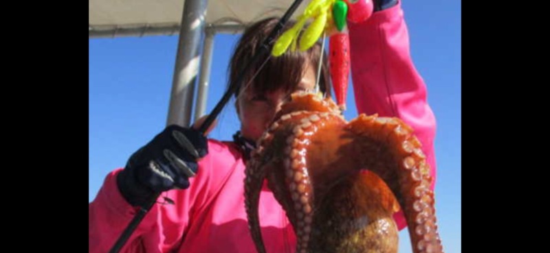 6月13日 明石タコ釣り