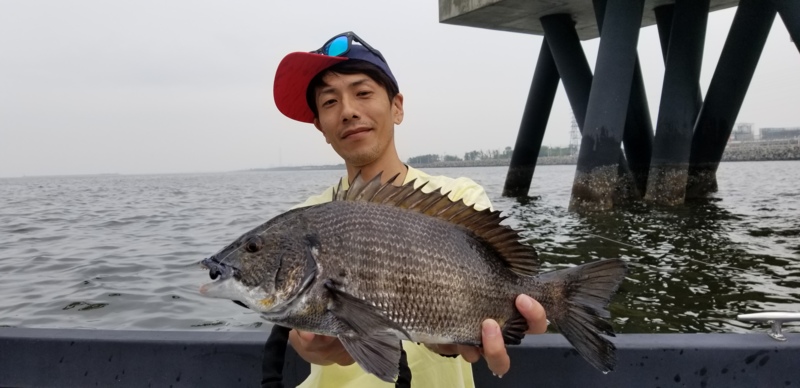 大阪湾ボートチヌ&タコゲーム