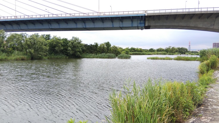 癒しの淡水小物釣り