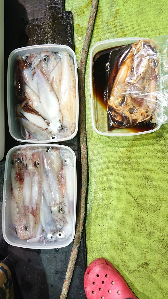 鳥取県 イカメタル