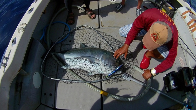 沖縄GTフィッシング!!