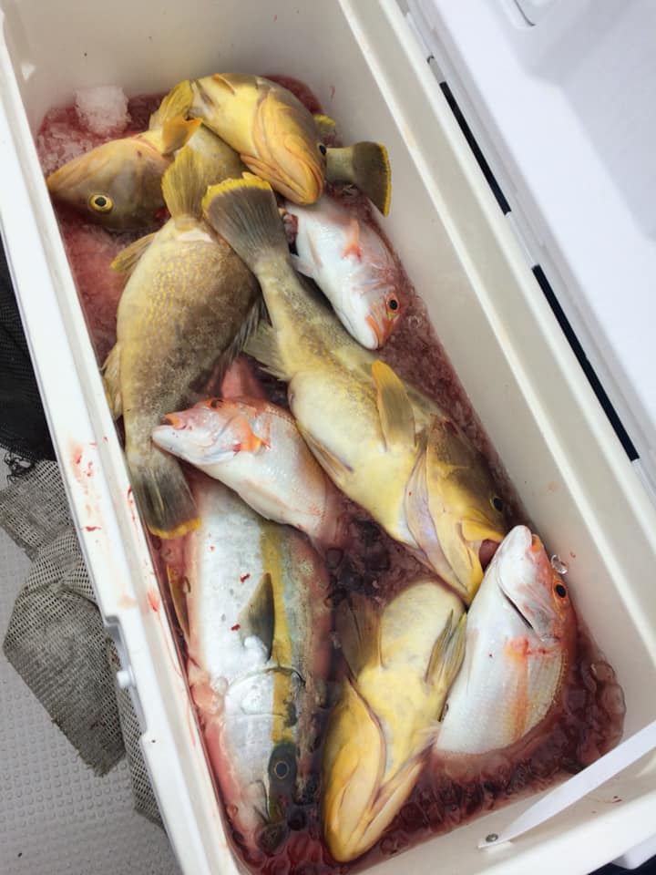 根魚パラダイス IN 山口