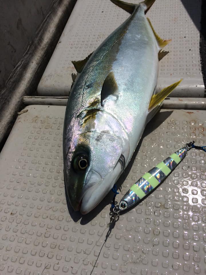 根魚パラダイス IN 山口