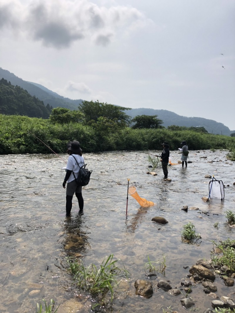 初めての小鮎釣行