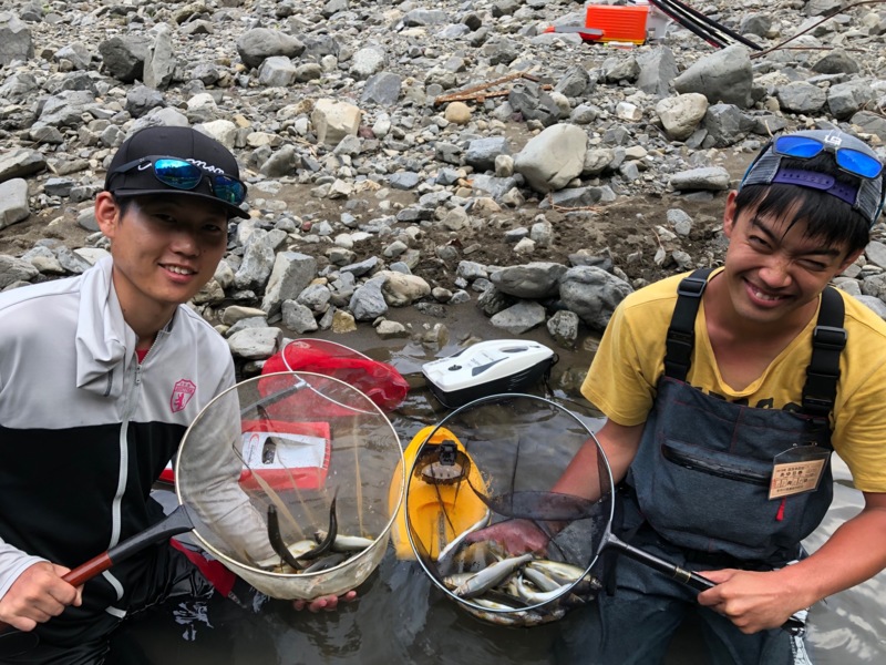 有田川で友釣り