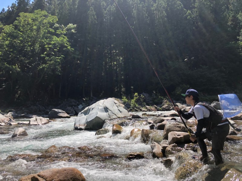 岐阜 鮎釣り