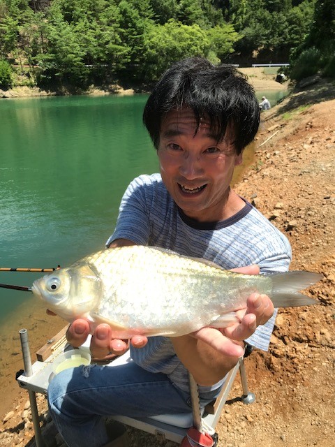 大杉ダムのヘラ釣り