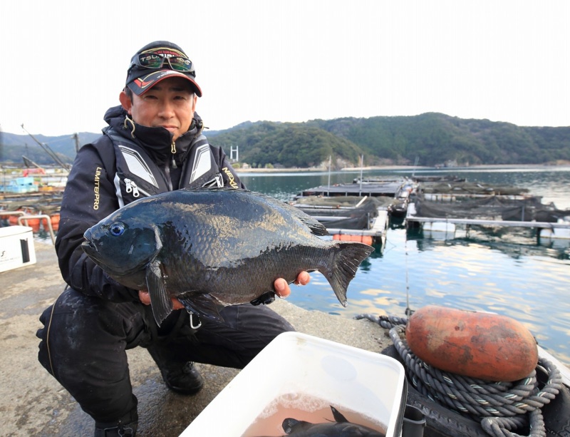 【三重県】鰹平瀬|磯、フカセ釣りでグレ釣果