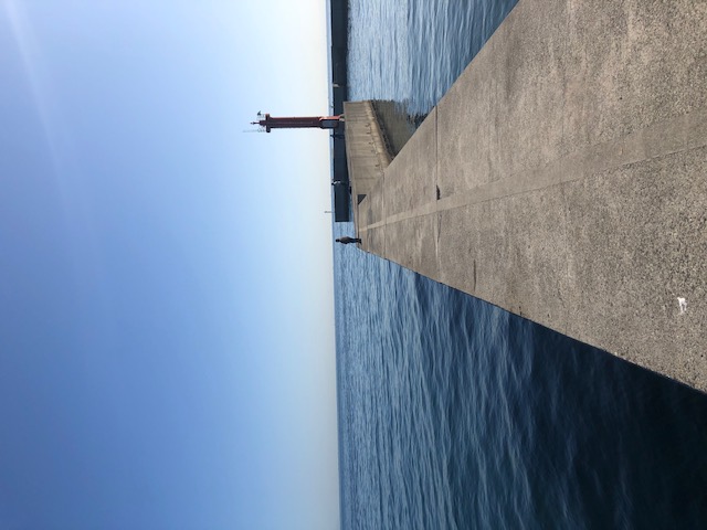 淡路島 エギング&ライトゲーム釣行