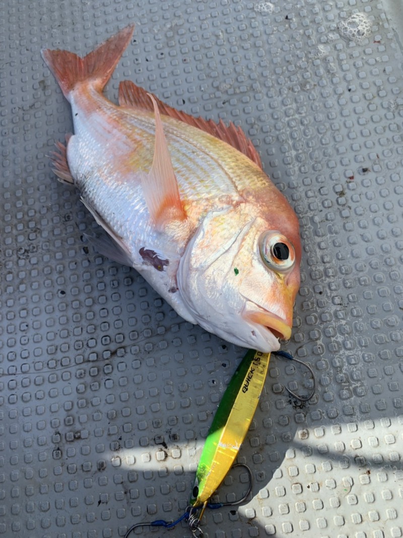 山形タイラバ・ジギング遠征