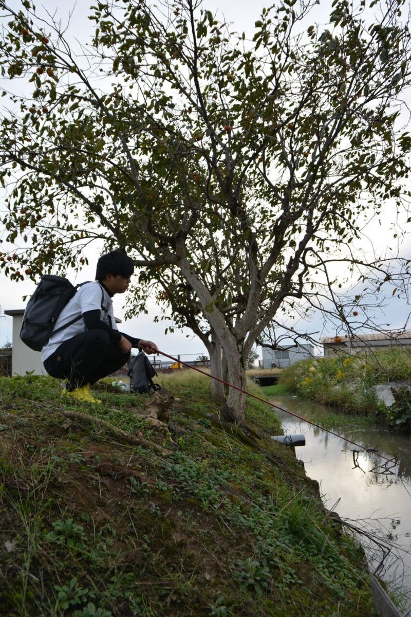 日本の原風景を求めて vol.5