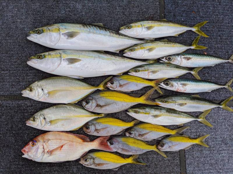 初めてのフカセ釣り