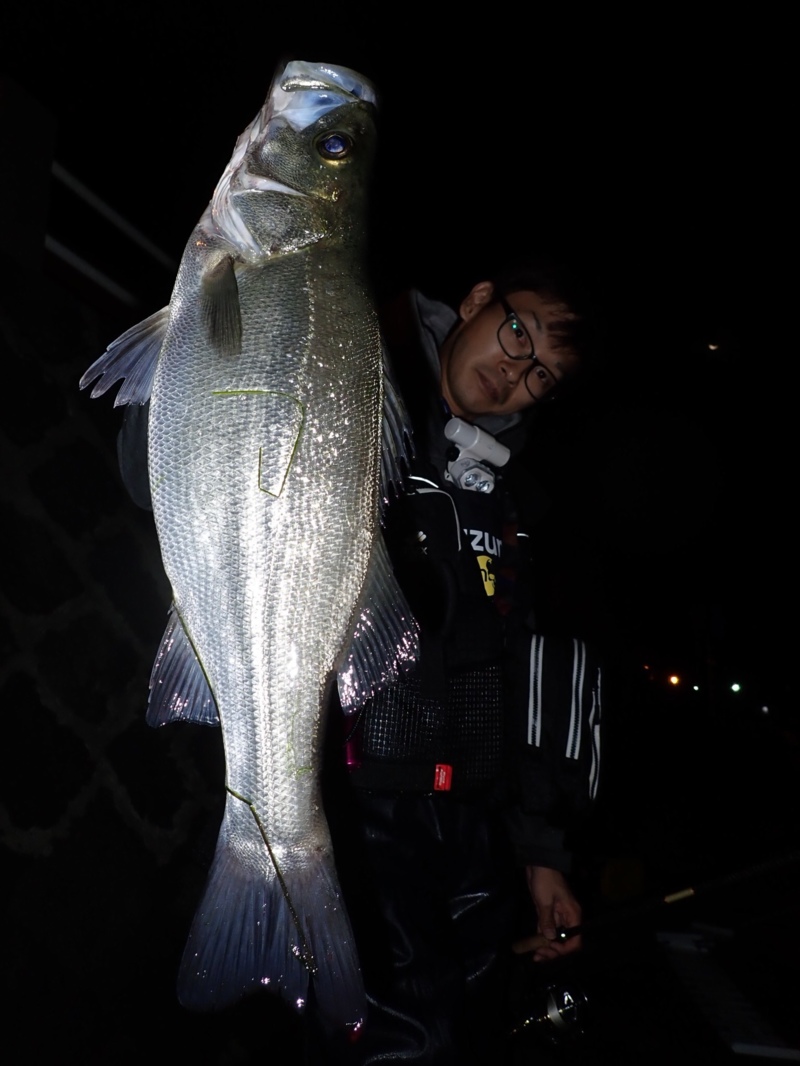 山陰シーバス遠征!