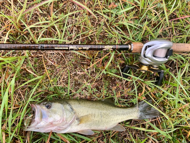 淡路島 秋のバス釣行