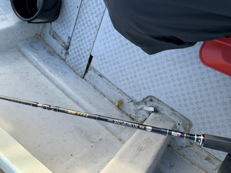 ショウサイフグ