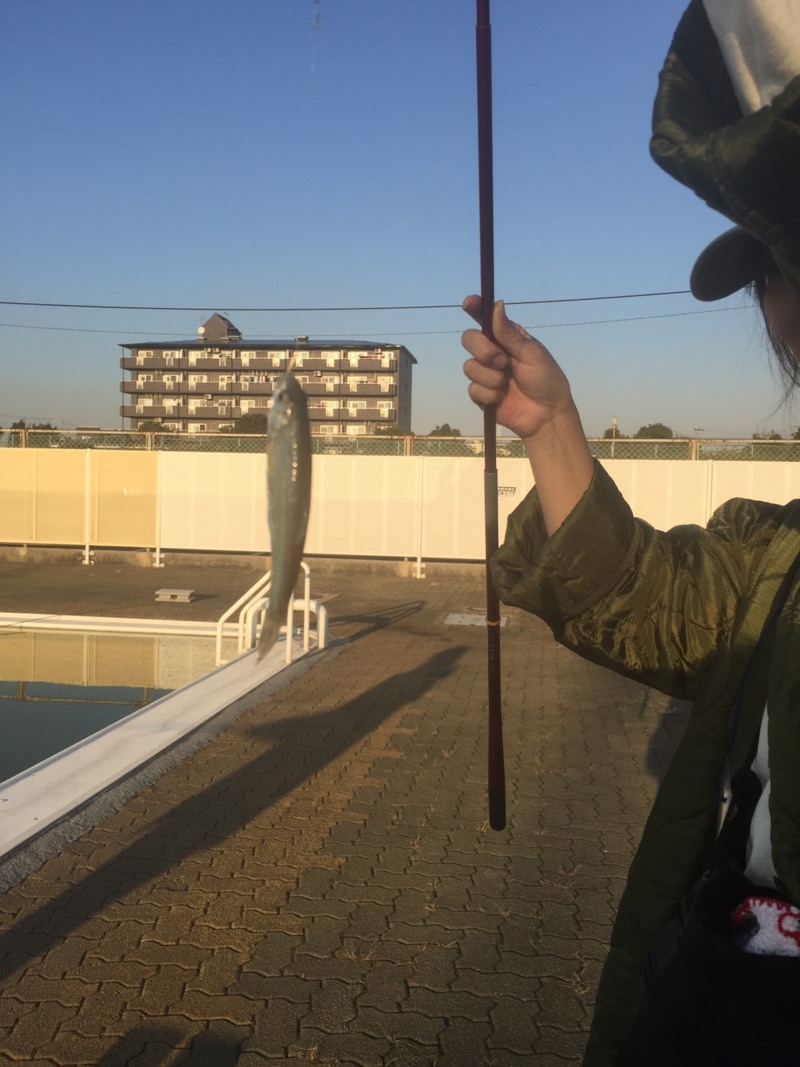 12/10 岸和田フィッシングパーク