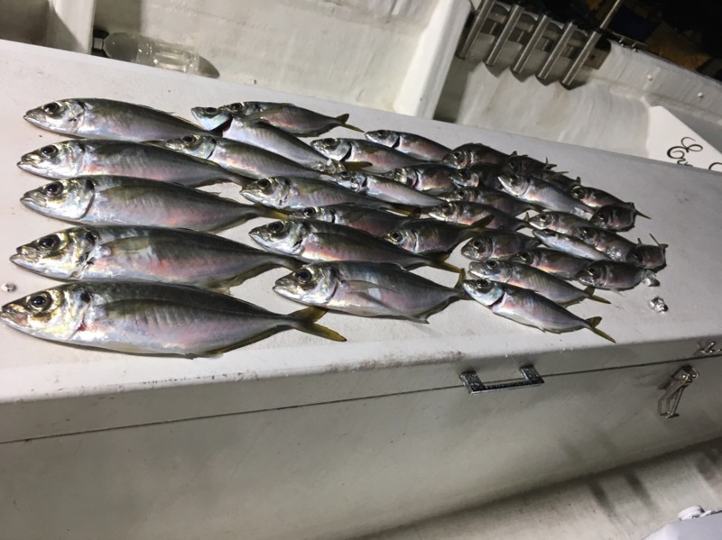 ボートアジング