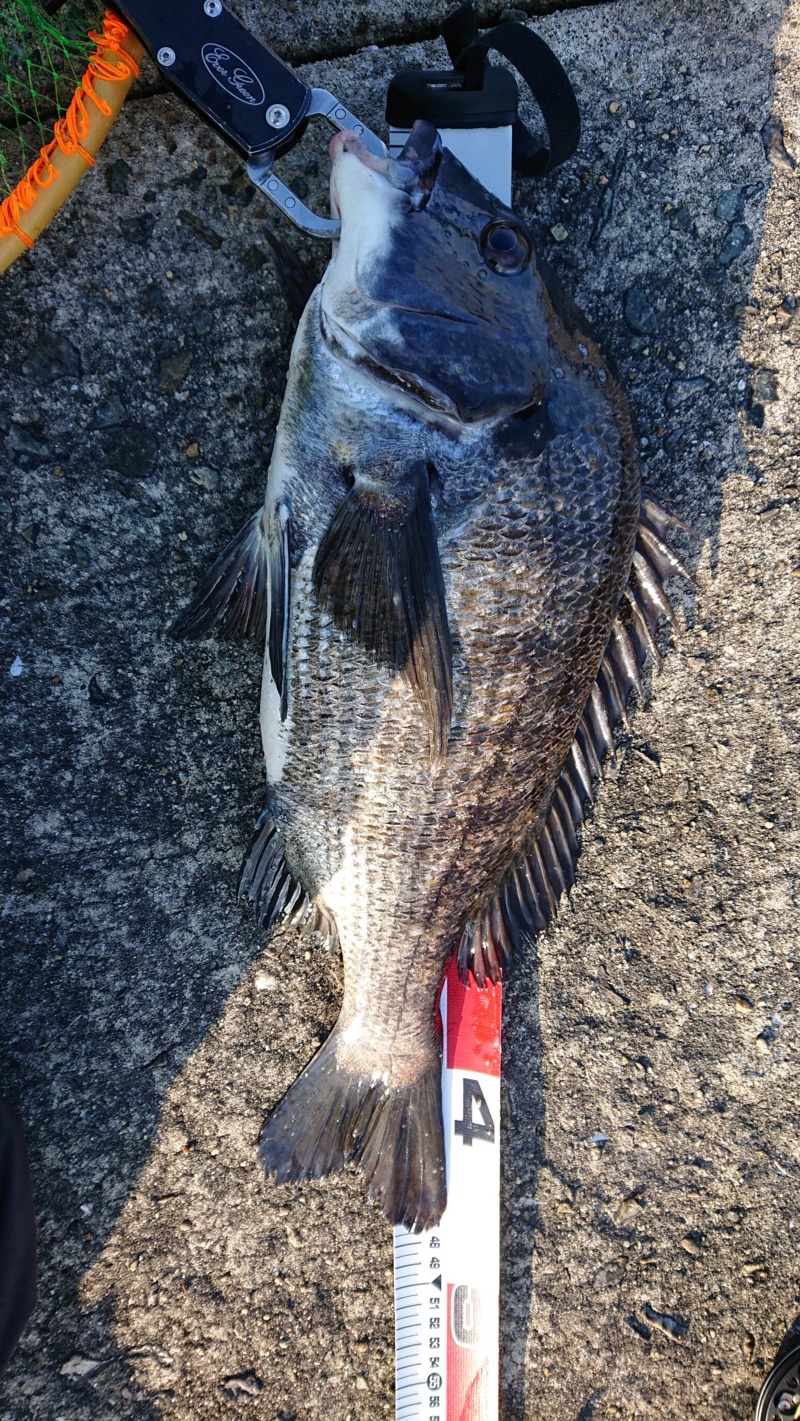 武庫川一文字落し込み