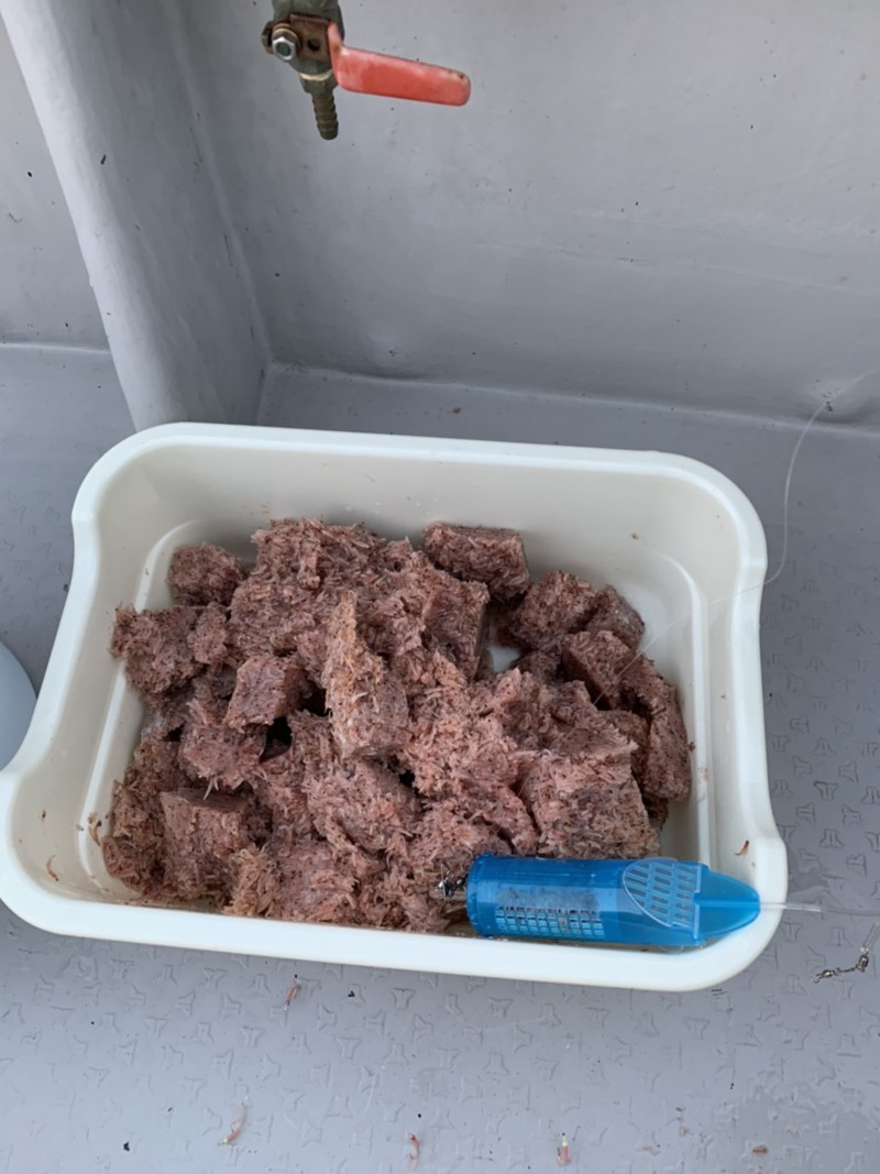 小浜 湾内マアジ釣り