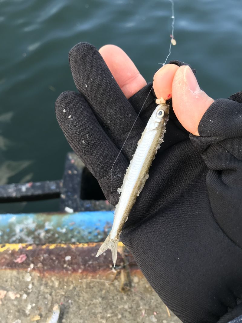 日本の原風景を求めて vol.6ー北海道編ー