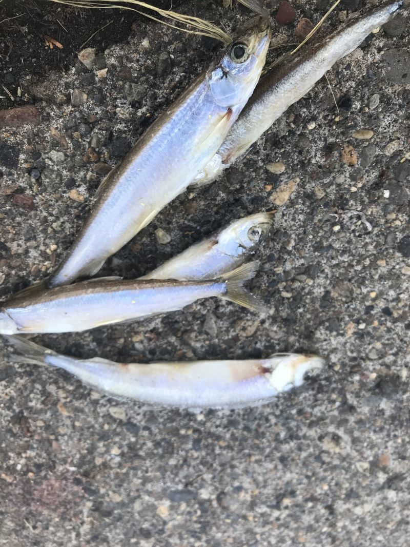 日本の原風景を求めて vol.6ー北海道編ー