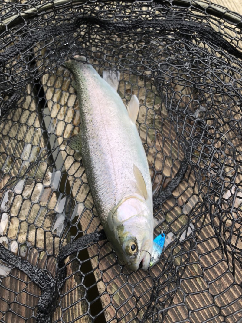 狙え!聖域に潜むレインボー!