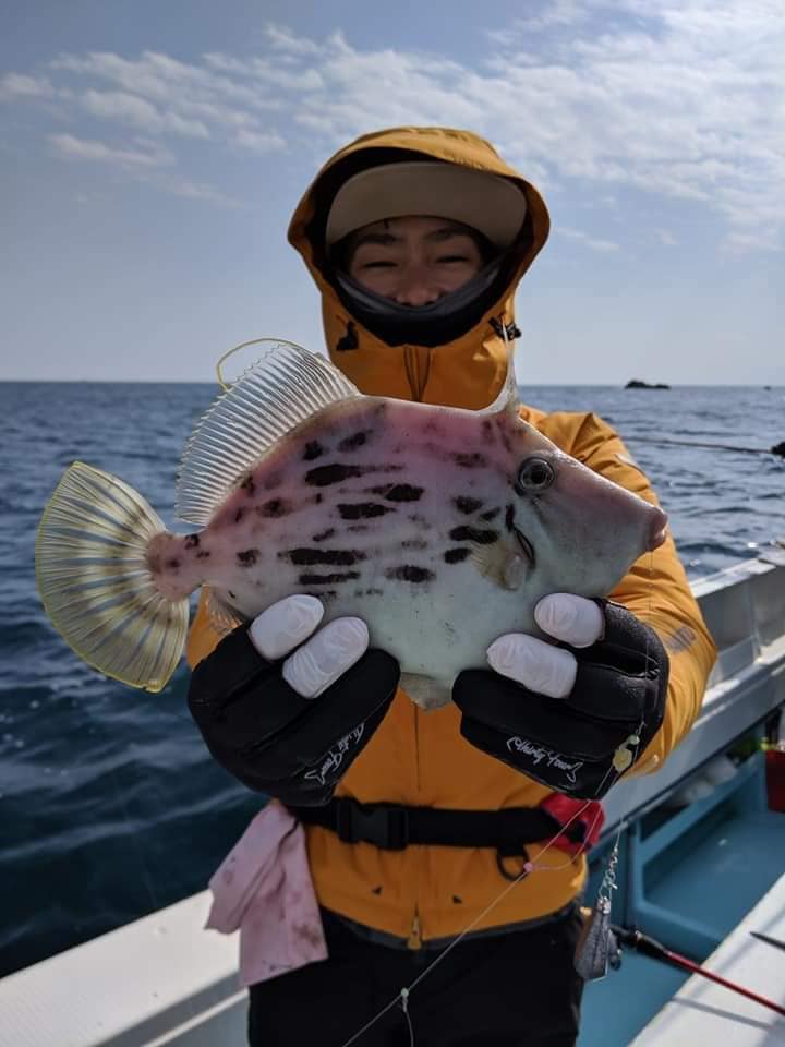 徳島阿南 カワハギパーティー