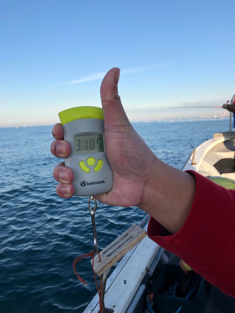 冬のデカタコ釣り!