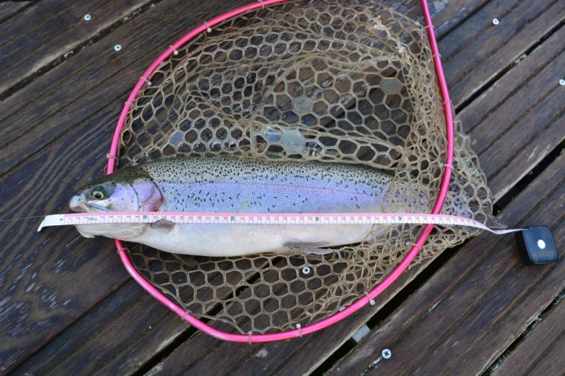 冬のエリアトラウトー嵐山フィッシングエリア編ー