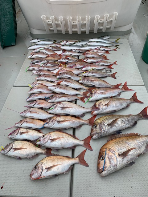 2月の明石タイラバ!