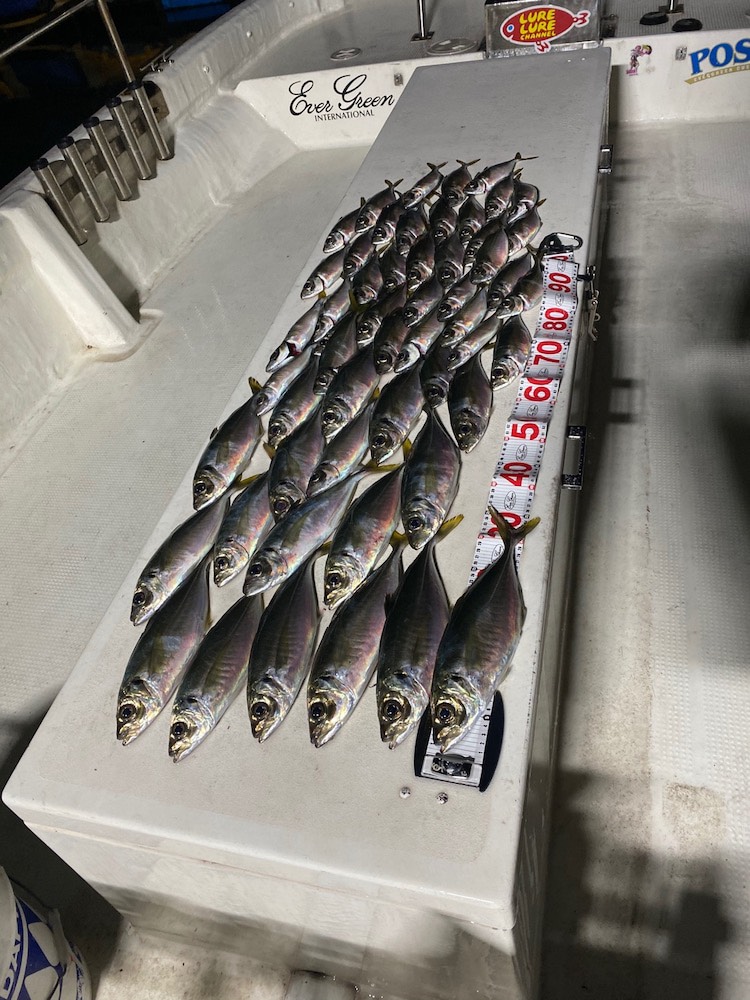 和歌山 ボートアジング!