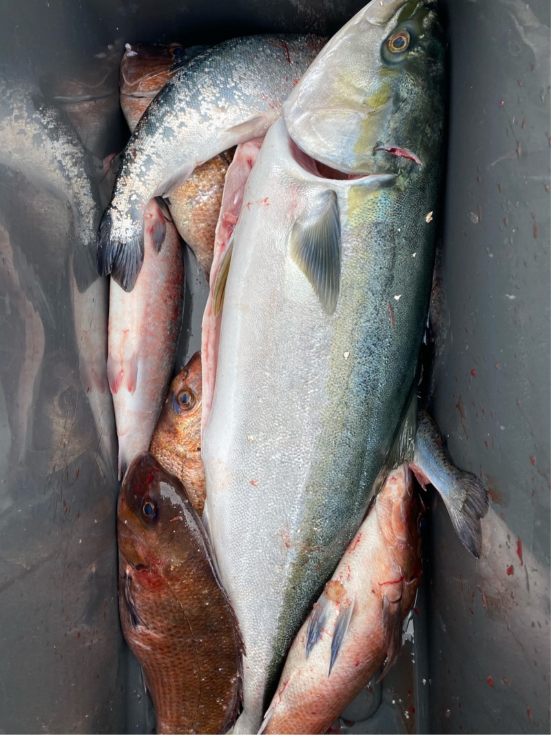 プレゼントの誘惑