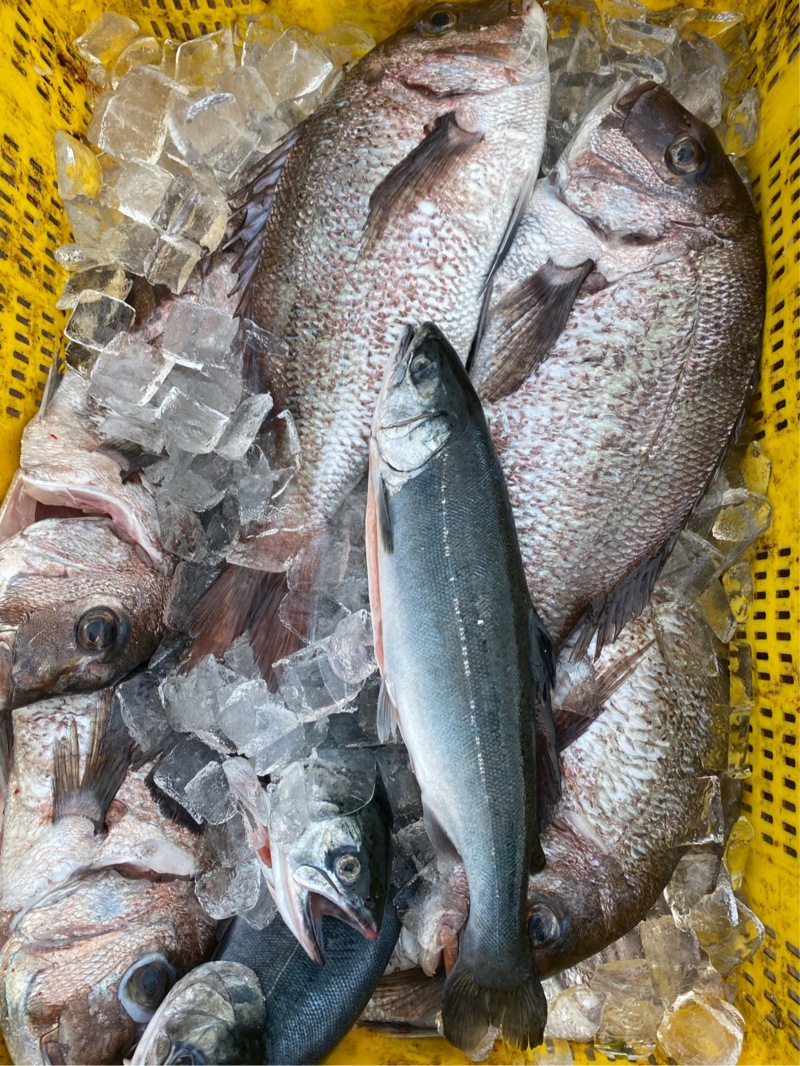 プレゼントの誘惑