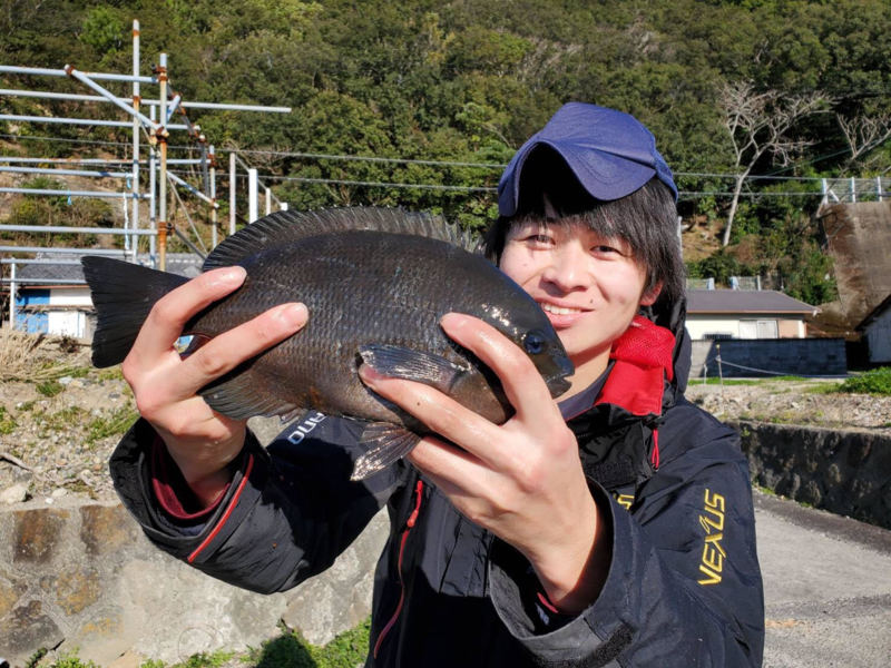 シーズン終盤!串本のグレ釣行!