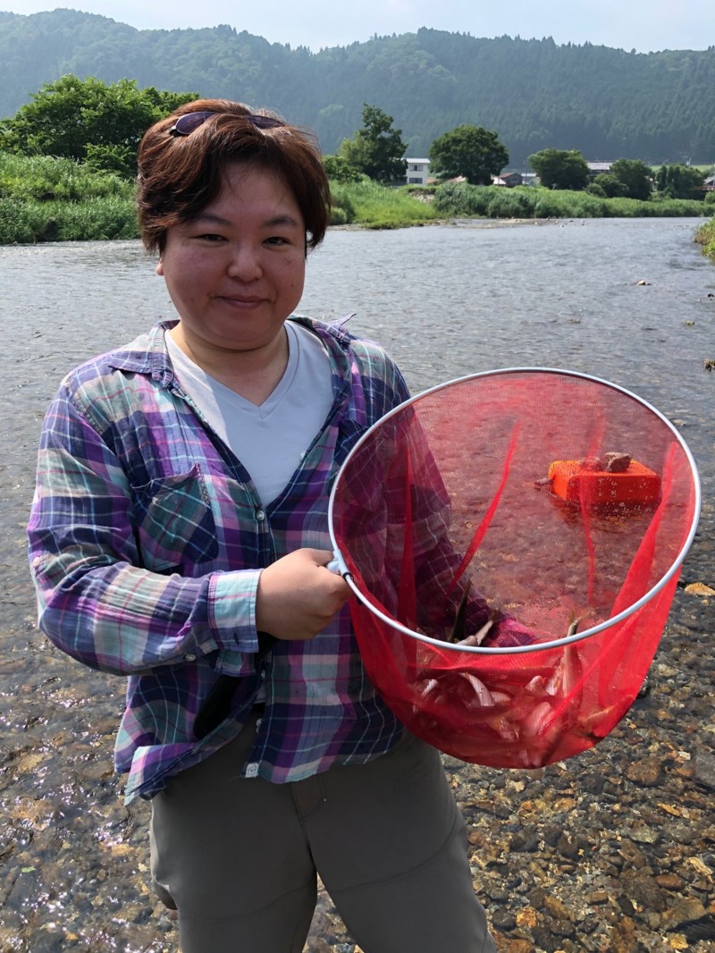 安曇川ライトスタイル友釣り釣行