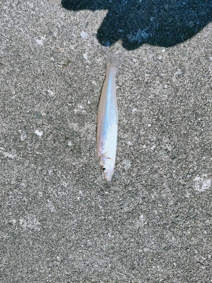 鳴門&アジュール舞子