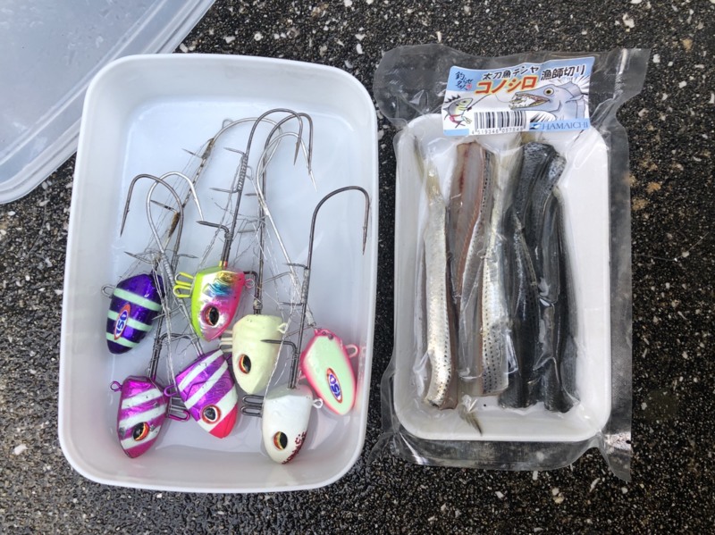 大阪府湊丸の船釣りで太刀魚釣果