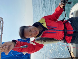 兵庫県神孝丸の船釣りでショウサイフグ釣果