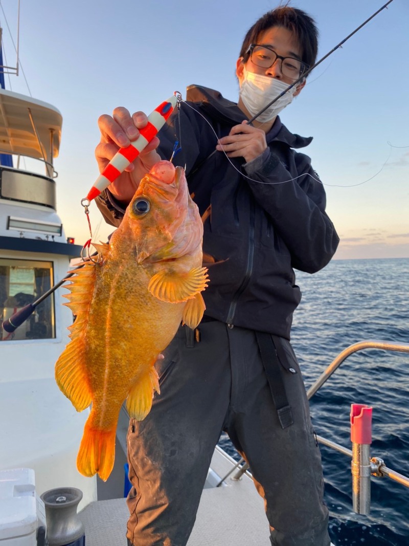 京都府隠岐の島TRUSTの船釣りでタラ・カジカ釣果