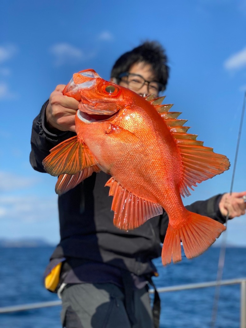 京都府隠岐の島TRUSTの船釣りでタラ・カジカ釣果