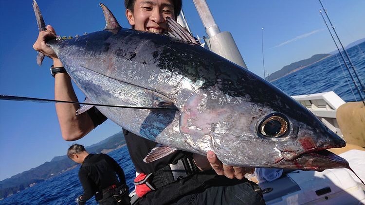 三重県志摩トロ丸のジギングでビンチョウマグロ・カツオ釣果
