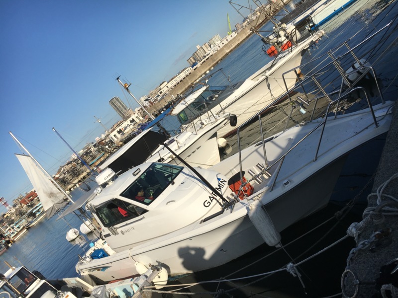 兵庫県明石市TOMMYの船釣りでメジロ・ハマチ釣果