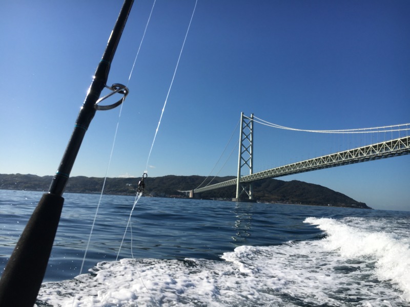 兵庫県明石市TOMMYの船釣りでメジロ・ハマチ釣果