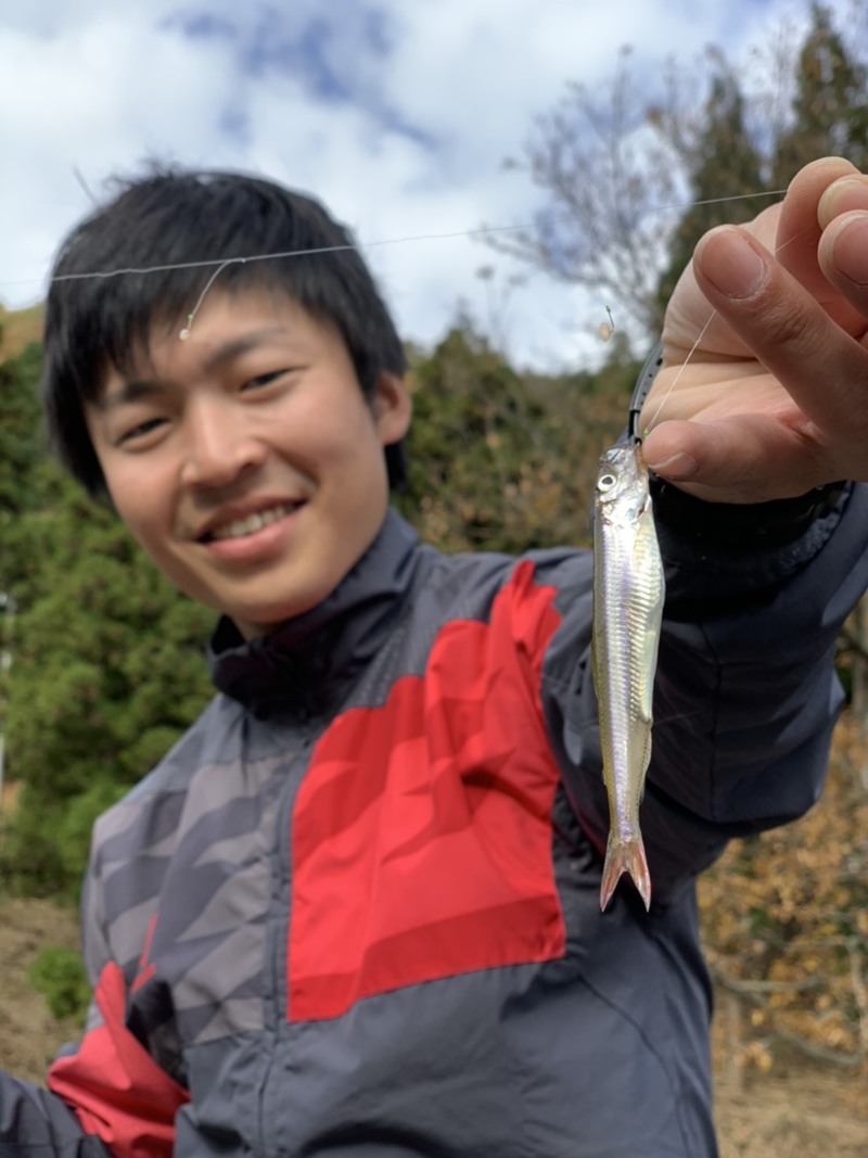 兵庫県丹波市長谷大池の淡水でワカサギ釣果