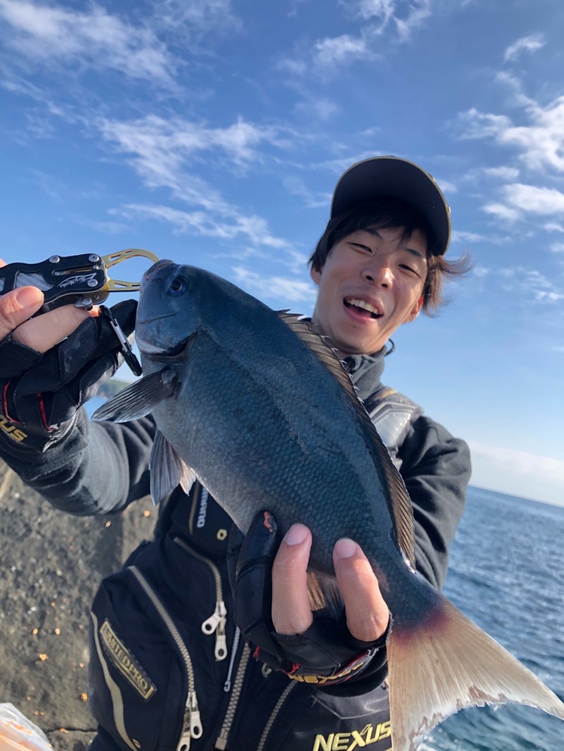 和歌山すさみ町林渡船のグレ釣りでグレ・イサキ釣果