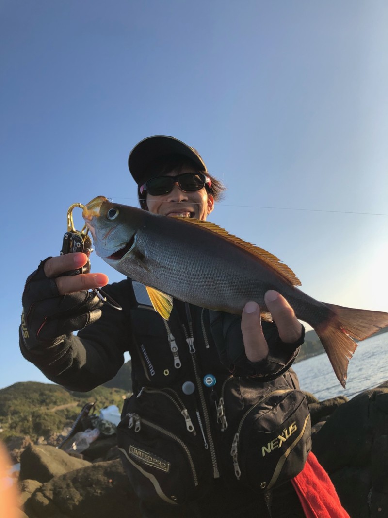 和歌山すさみ町林渡船のグレ釣りでグレ・イサキ釣果