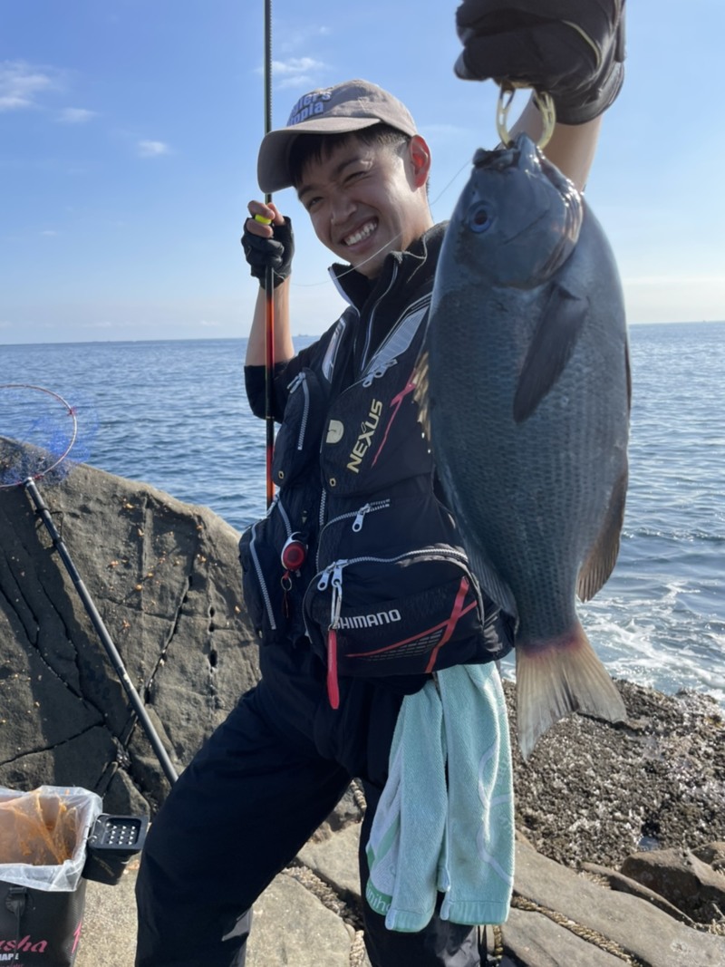和歌山すさみ町林渡船のグレ釣りでグレ・イサキ釣果